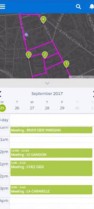 Salesforce map - visit planning mobile